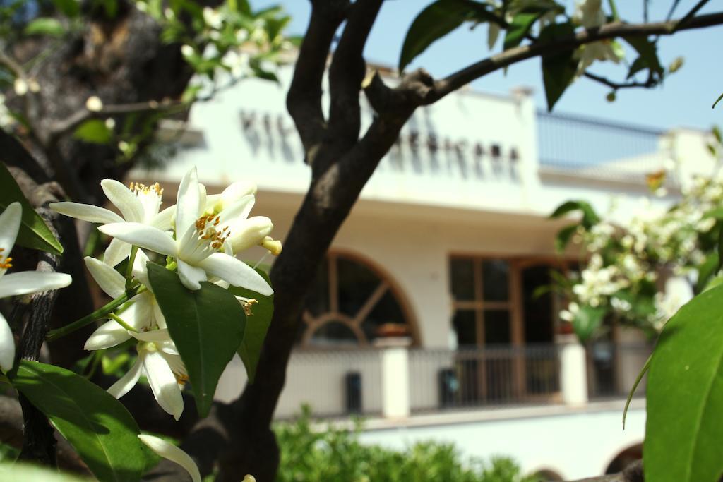 Park Hotel Villa Americana Rodi Garganico Ngoại thất bức ảnh